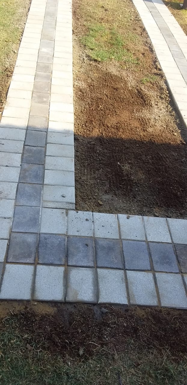 Paving detail close-up